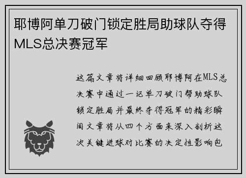 耶博阿单刀破门锁定胜局助球队夺得MLS总决赛冠军