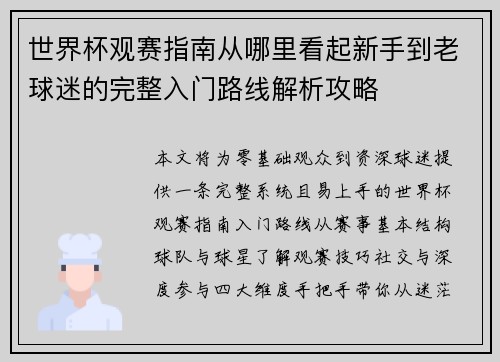 世界杯观赛指南从哪里看起新手到老球迷的完整入门路线解析攻略